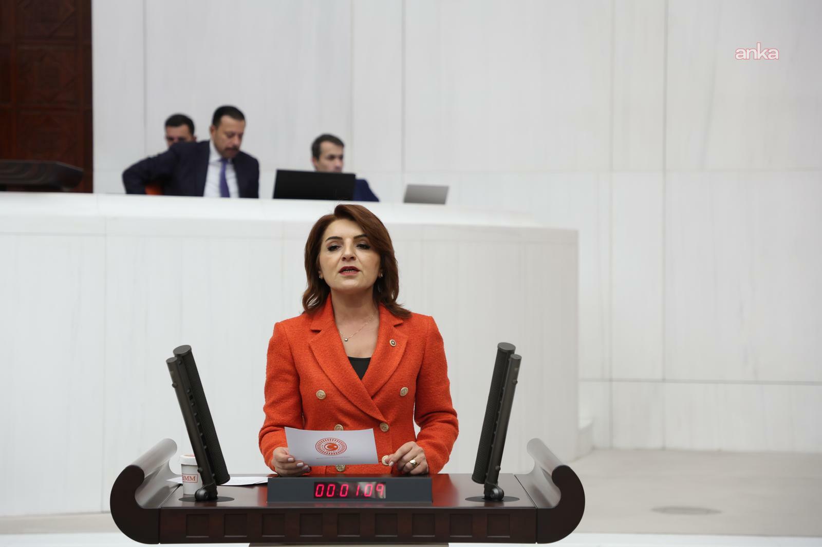 CHP’li Kış'tan iktidara 'varlık barışı' eleştirisi: “Demek ki hala barışamadıkları varlıklar var”