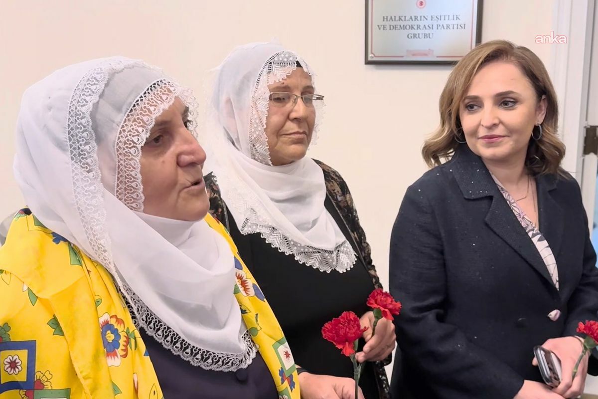 Barış Anneleri Heyeti, Adalet Bakanlığı'na İmralı Adası'nda Öcalan ile görüşmek için dilekçe verecek