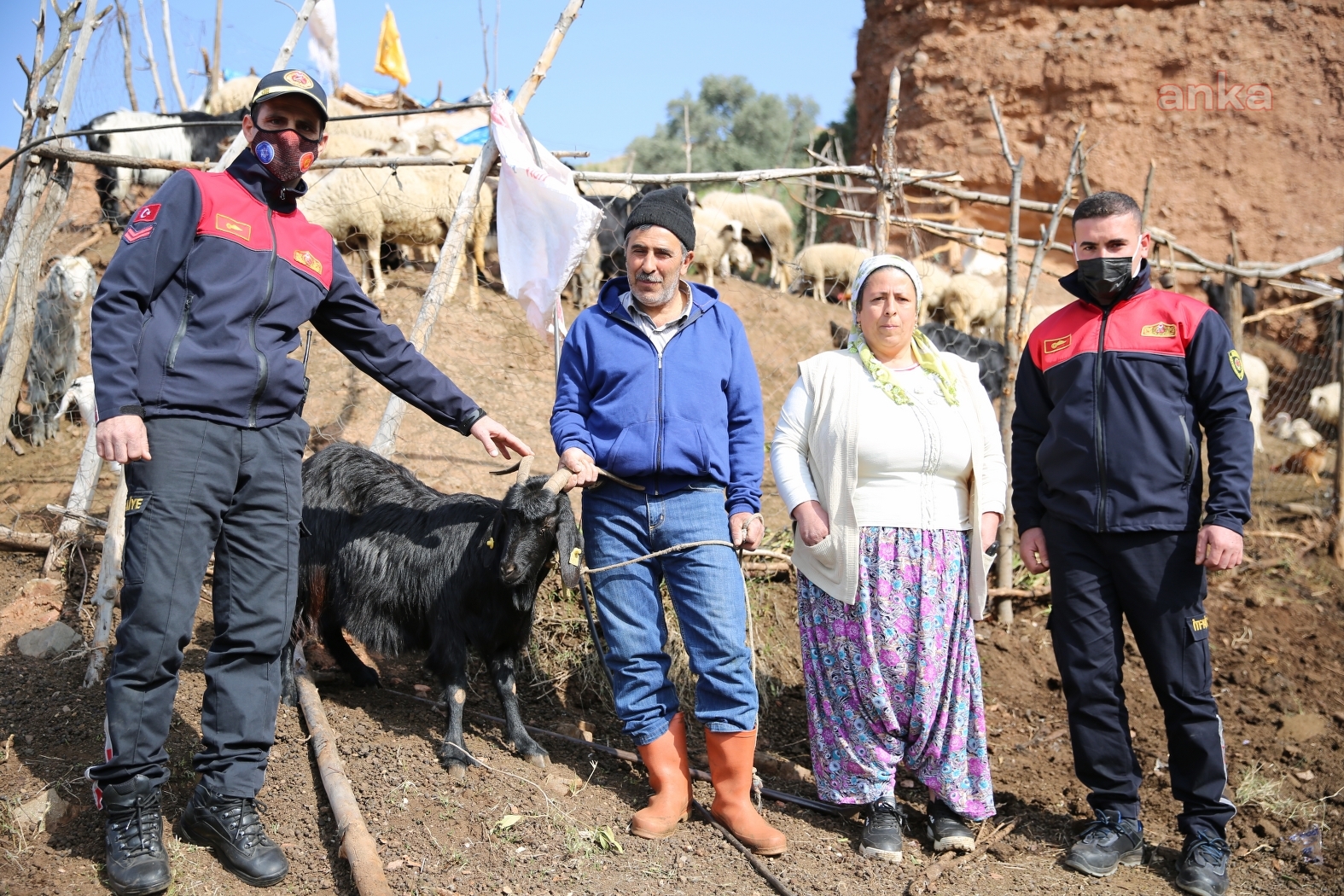 AYDIN İTFAİYESİ'NİN İNADI, KEÇİNİN İNADINI YENDİ