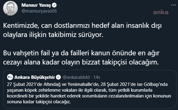 BAŞKAN MANSUR YAVAŞ, KÖPEK KATLİAMININ BİZZAT TAKİPÇİSİ OLACAĞINI  DUYURDU