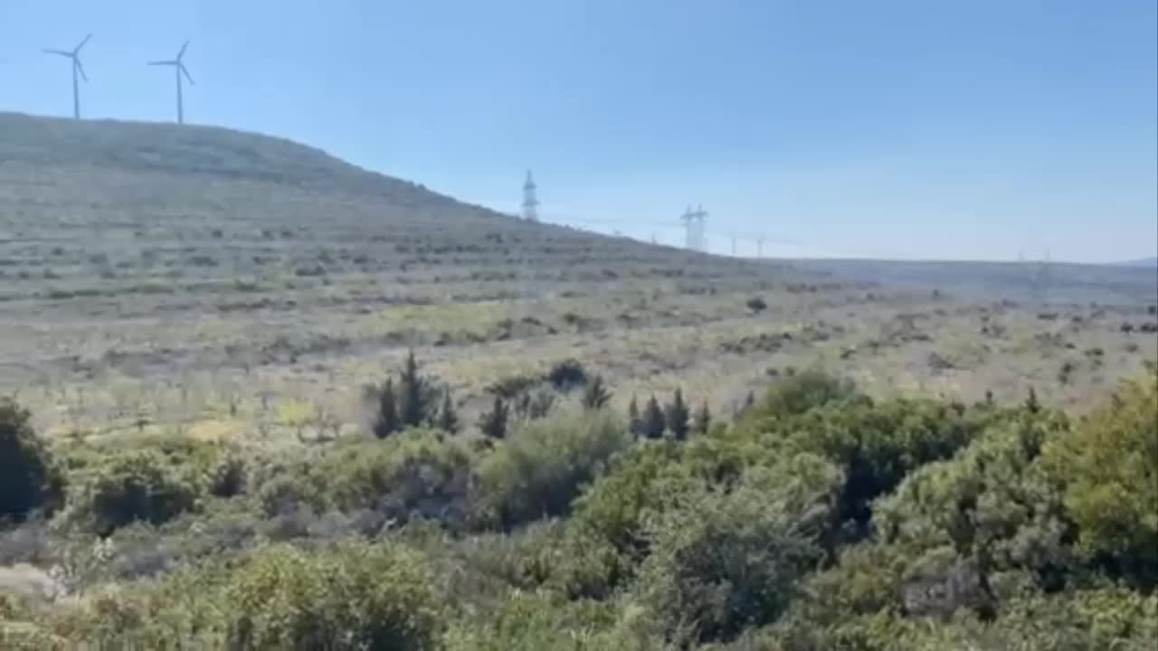 ÇAĞLA BADEMLERİ DOLU VURDU... YÜZDE 90'A YAKIN KAYIP VAR!
