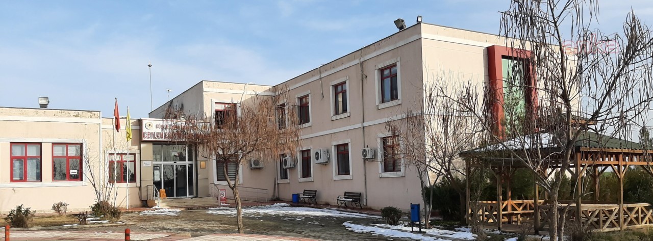 AYM’DEN KURMANCİ KARARI: YÜKSEK LİSANS EĞİTİMİNİ TAMAMLAYAN ÖĞRENCİYE DİPLOMA VERİLMELİ