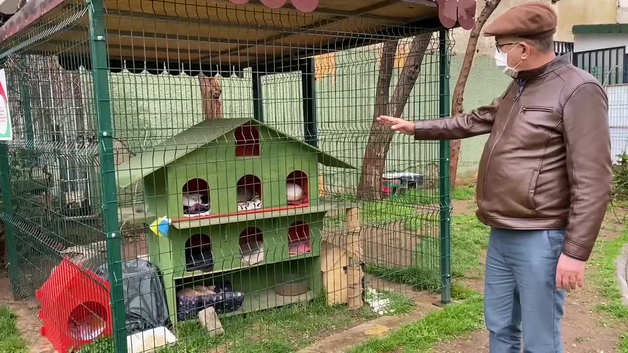 CHP'Lİ SERTEL'DEN HAYVAN HAKLARI YASASI ÇAĞRISI
