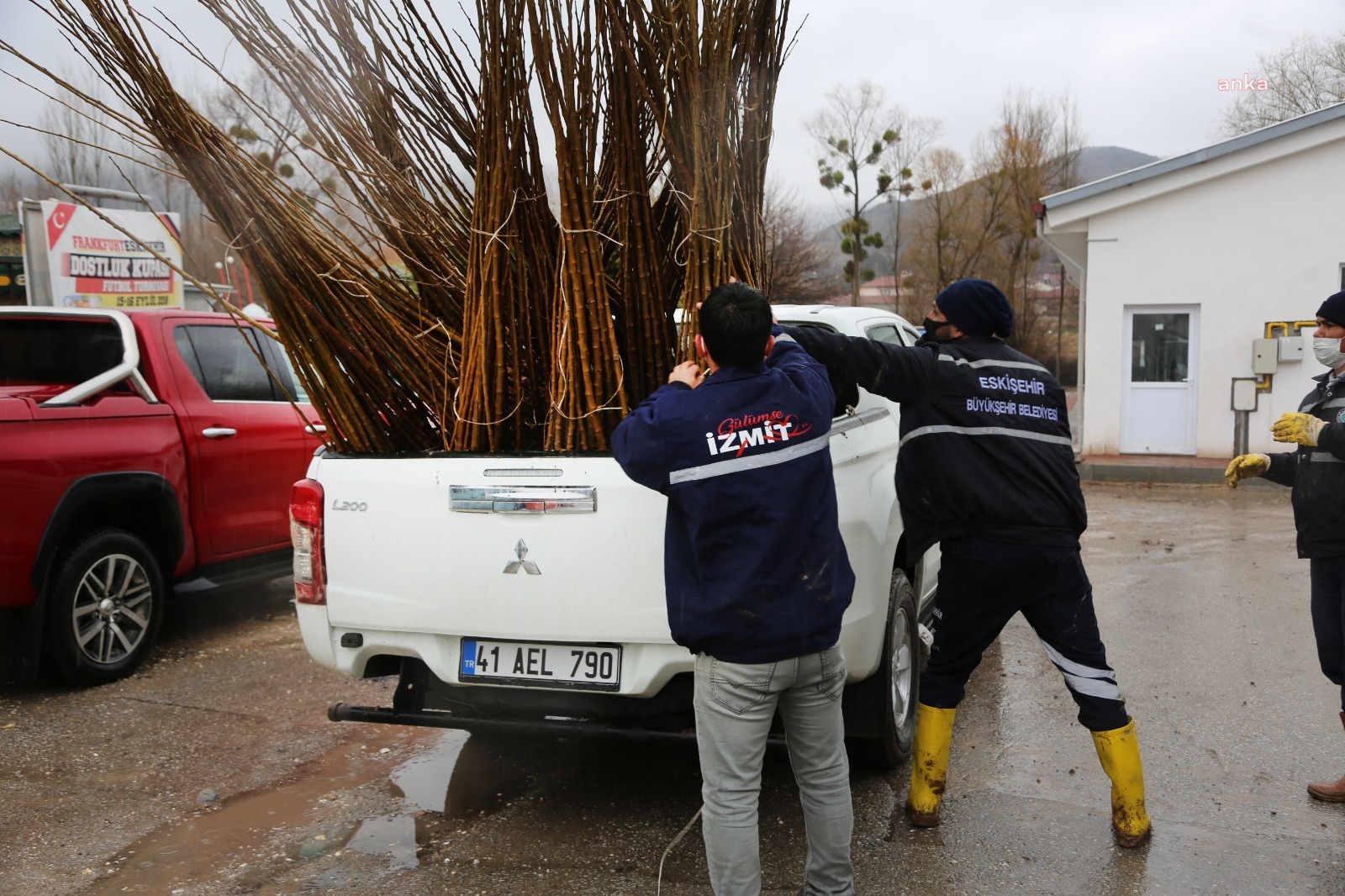 ESKİŞEHİR'DEN İZMİT'E 550 ADET DUT FİDANI