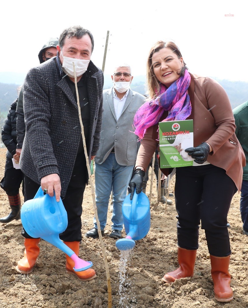 İZMİT’İN KÖYLERİ İPEK BÖCEKÇİLİĞİYLE KALKINACAK