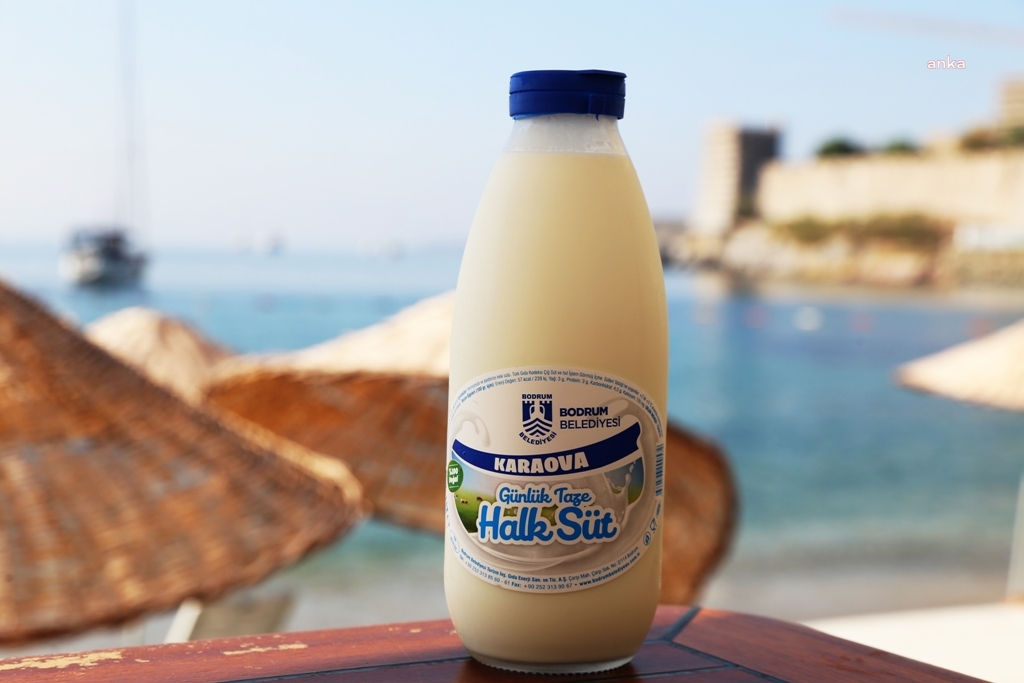 BODRUM'DA HALK SÜT YENİDEN EVLERDE