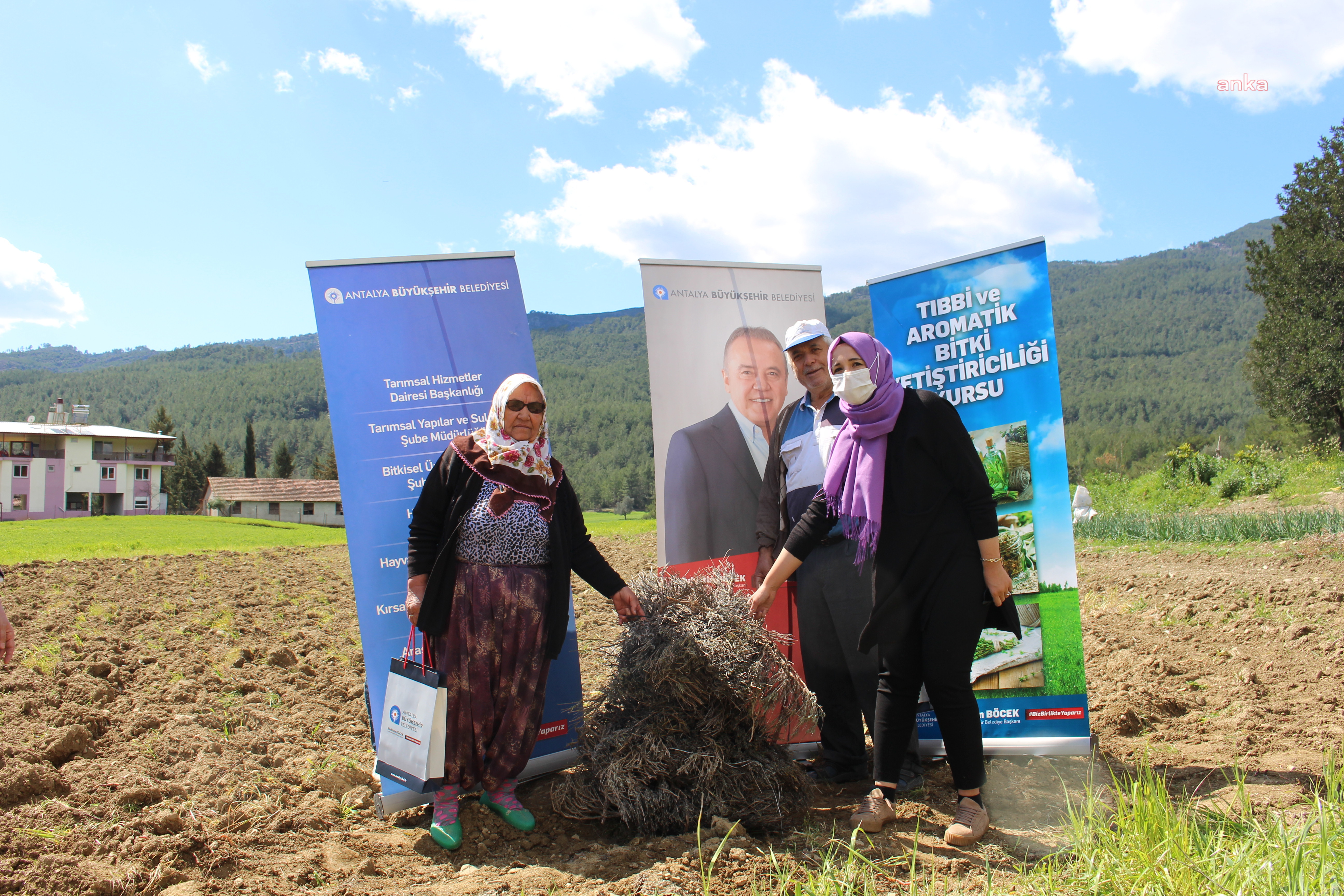 ANTALYA BÜYÜKŞEHİR, MANAVGAT'TA LAVANTA FİDESİ DAĞITTI