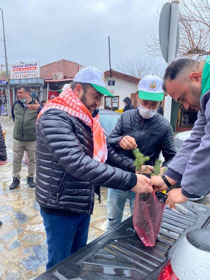 DEVLETİN FİDANLARINI AKP İLÇE BAŞKANI DAĞITTI