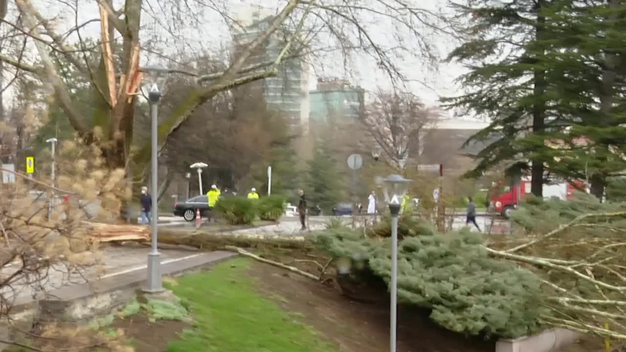 TBMM BAHÇESİNE YILDIRIM DÜŞTÜ