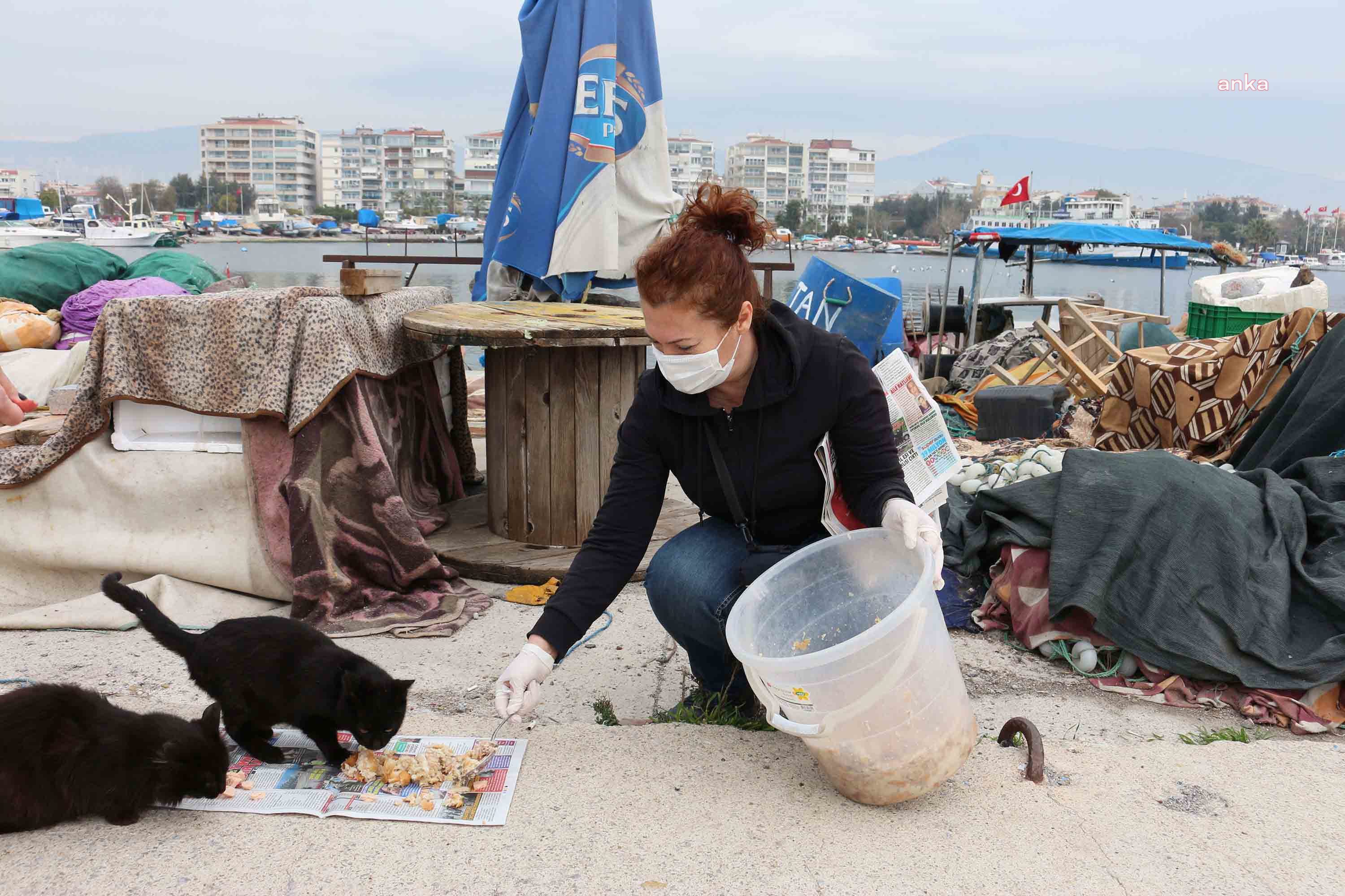 KARŞIYAKA BELEDİYESİ'NDEN SOKAK HAYVANLARINA BESLENME DESTEĞİ