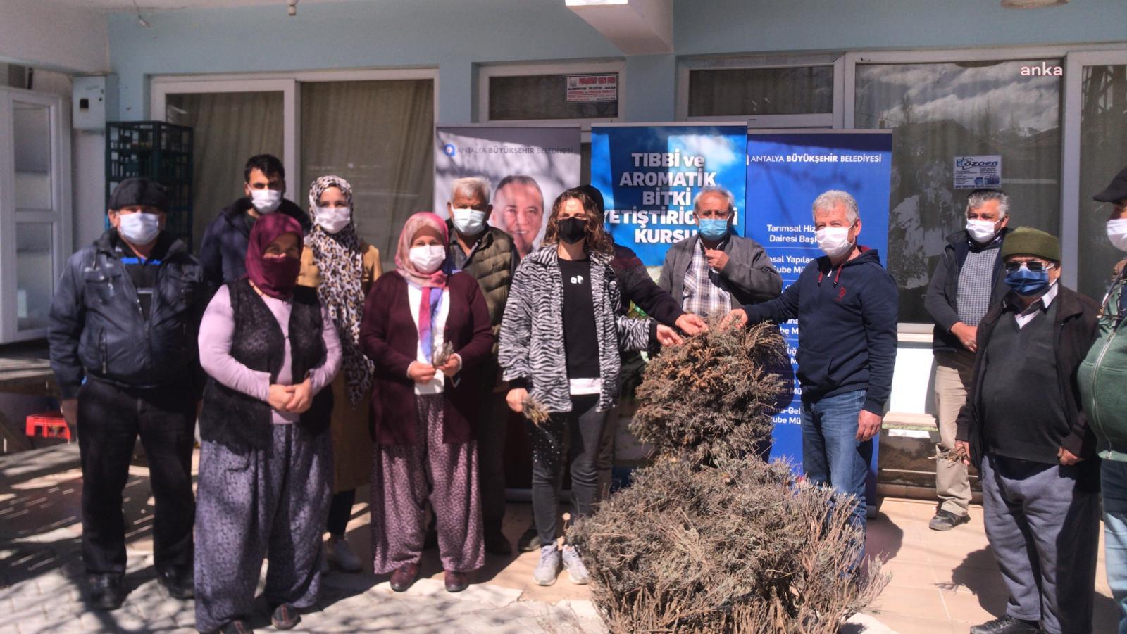 ANTALYA BÜYÜKŞEHİR'DEN 3 İLÇEYE DAHA LAVANTA DESTEĞİ