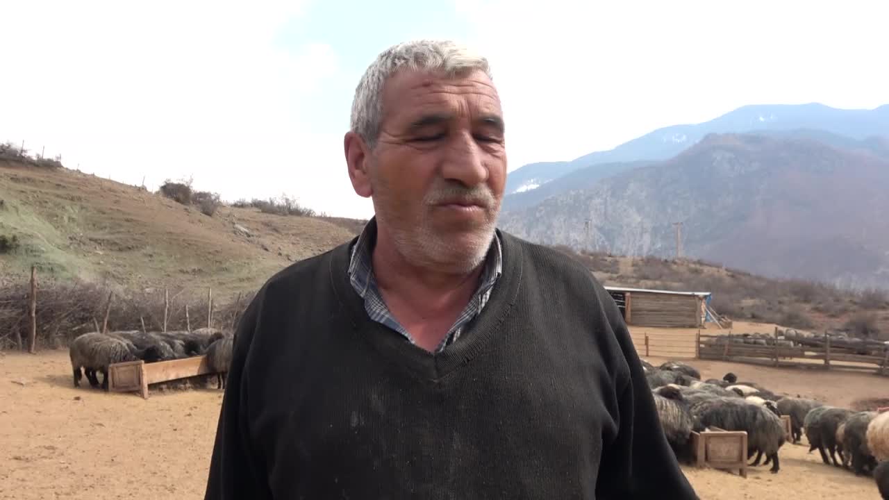 ARTVİNLİ YAYLACI MERA YASAKLARINA ÇÖZÜM BEKLİYOR: "BİZ BU İŞİ KEYİF AMAÇLI DEĞİL, ZORUNLULUKTAN  YAPIYORUZ"