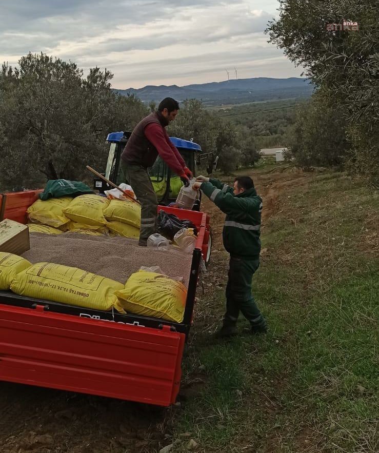 MAZOT VE GÜBRE DESTEĞİ ÖDEMELERİ BUGÜN BAŞLIYOR