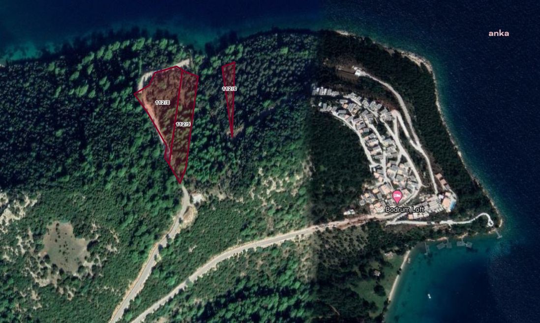 MİLLİ EMLAK BODRUM’DAKİ ZEYTİNLİKLERİ SATIŞA ÇIKARDI