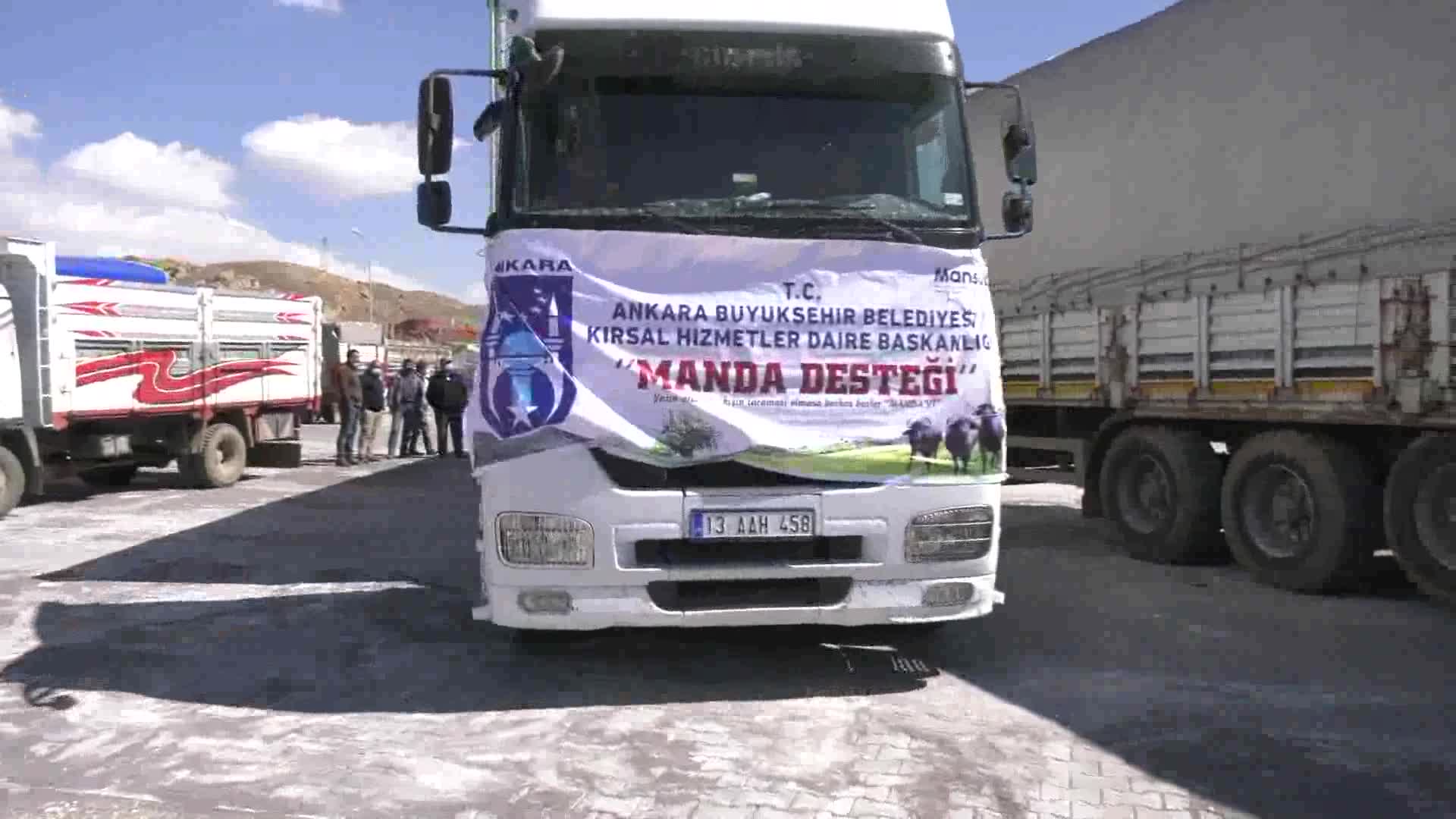 BAŞKENT’TE ET VE SÜT ÜRETİMİNİ ARTIRACAK DESTEK BAŞLADI: 3 İLÇEDE GEBE MANDA DAĞITIMI TAMAMLANDI