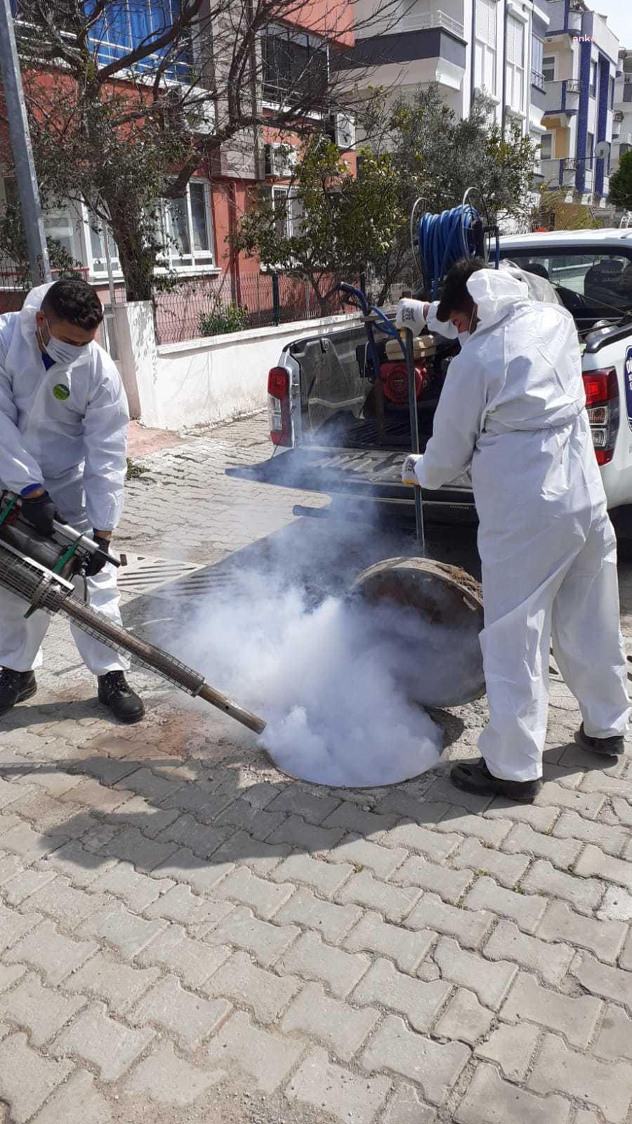 DİDİM’DE LARVA VE HAŞERELERE KARŞI MÜCADELE SÜRÜYOR