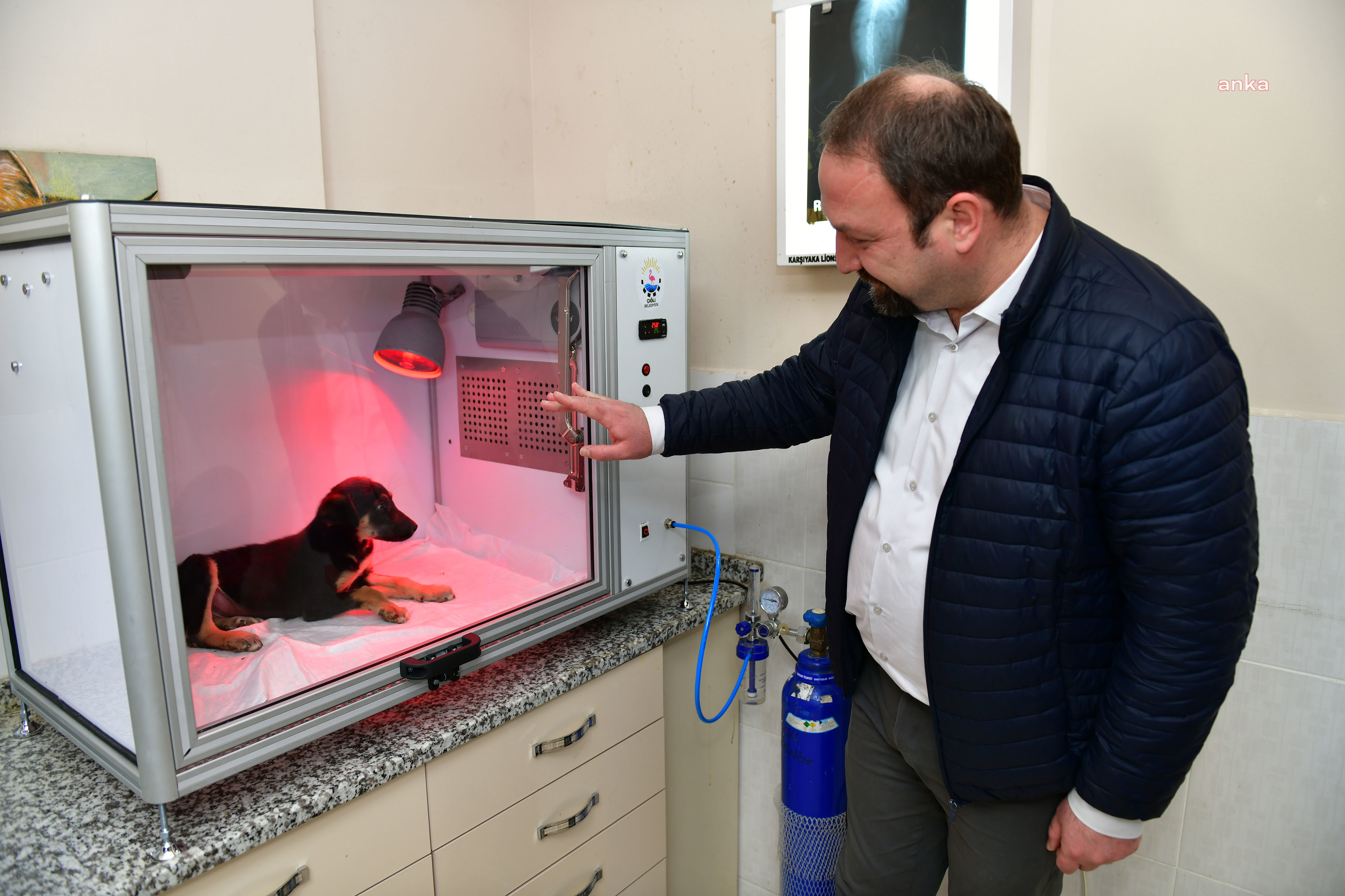 ÇİĞLİ BELEDİYESİ'NDEN HAYVAN DOSTU PROJE: YOĞUN BAKIM ÜNİTESİ
