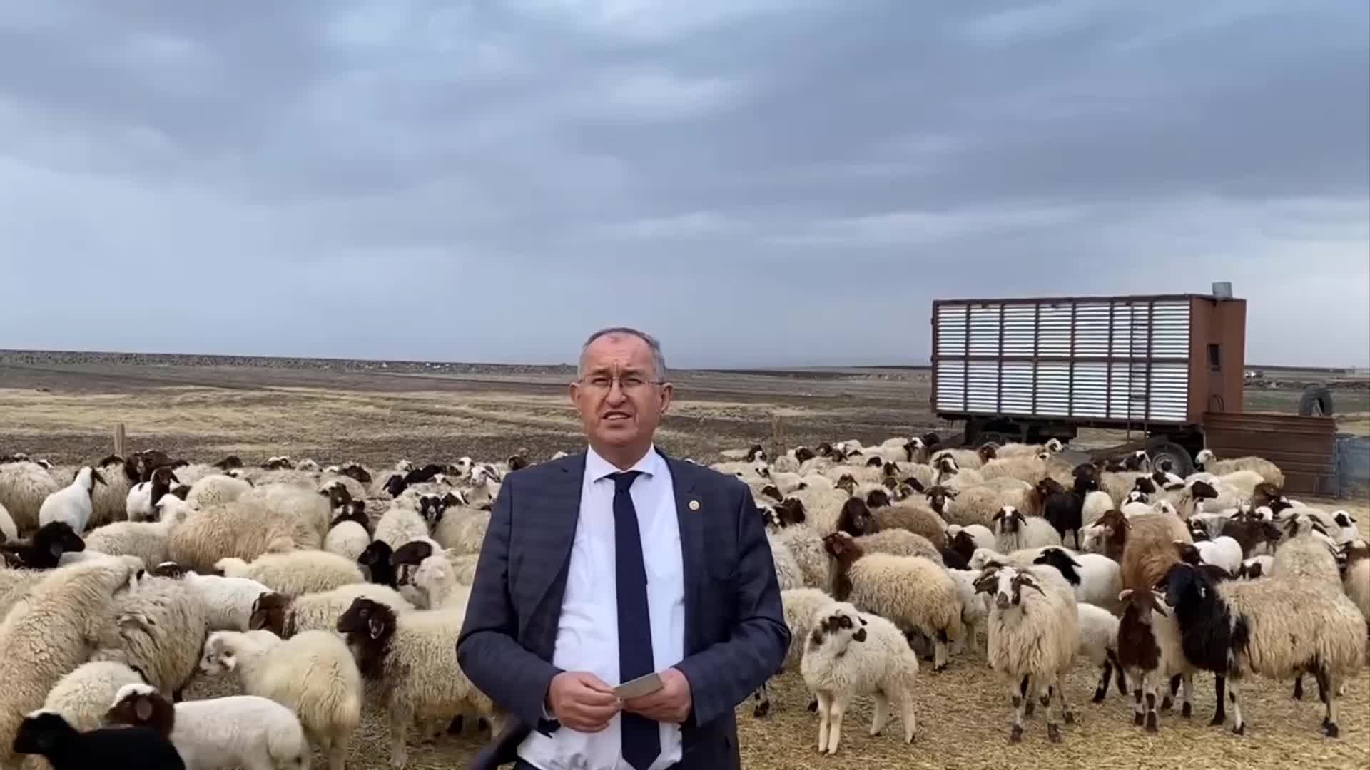 HAYVANCILIK PROJESİNE KARS DAHİL EDİLMEDİ, CHP'Lİ SERTEL SORDU: "VALİ VE AKP İL BAŞKANI ARASINDA ANLAŞMAZLIK MI VAR"