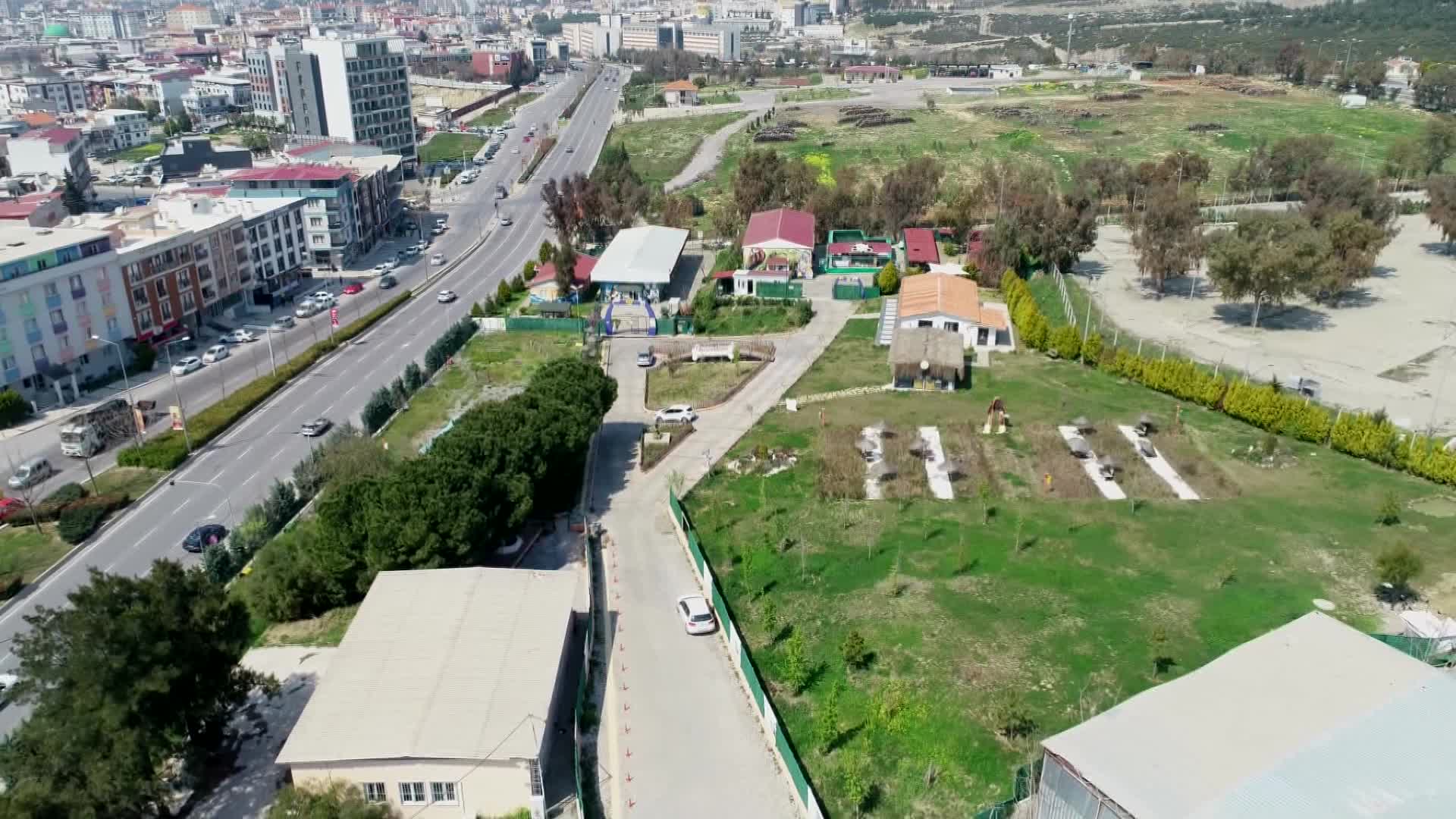 ENGELLİ KEDİLER İÇİN OTEL KONFORUNDA KEDİ EVİ
