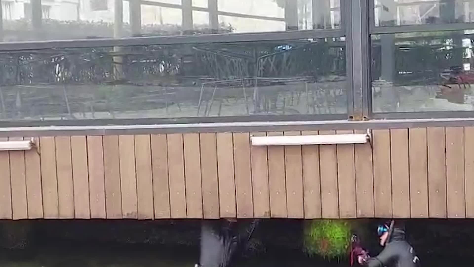 BEYLERBEYİ'NDE İSKELE ALTINA SIKIŞAN KEDİ KURTARILDI