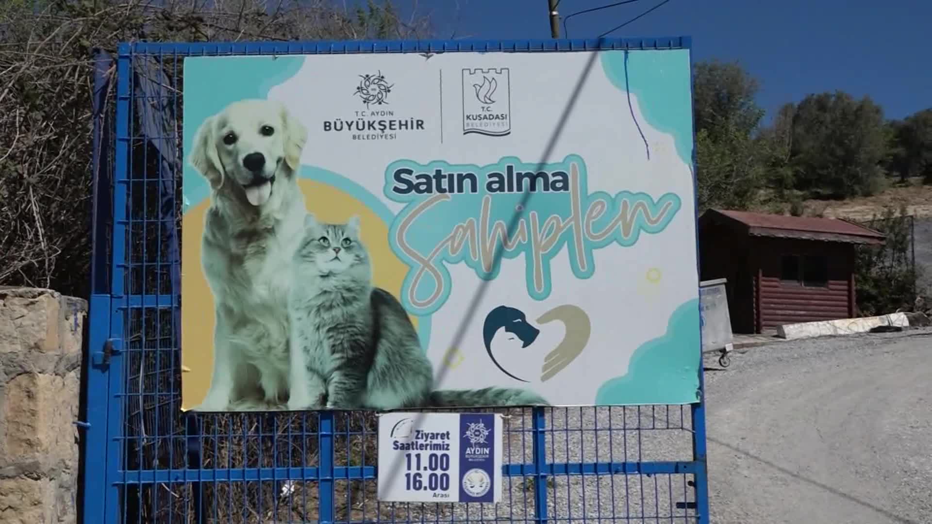 KUŞADASI’NDA SOKAK HAYVANLARININ YAŞAM UMUDU İKİYE KATLANDI
