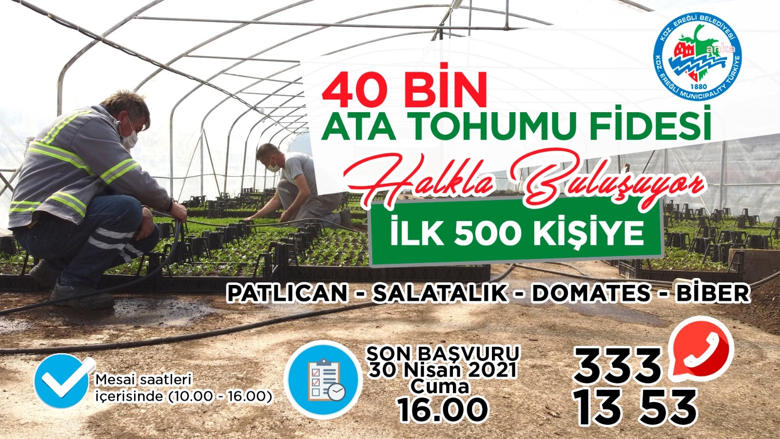 KARADENİZ EREĞLİ BELEDİYESİ, 500 AİLEYE 40 BİN ATA TOHUMU FİDESİ DAĞITACAK