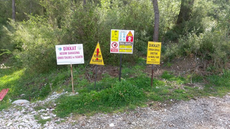 MUÇEP'TEN "ÇITLIK'TA ORMAN KATLİAMI YOK" DİYEN MUĞLA ORMAN BÖLGE MÜDÜRLÜĞÜNE YANIT