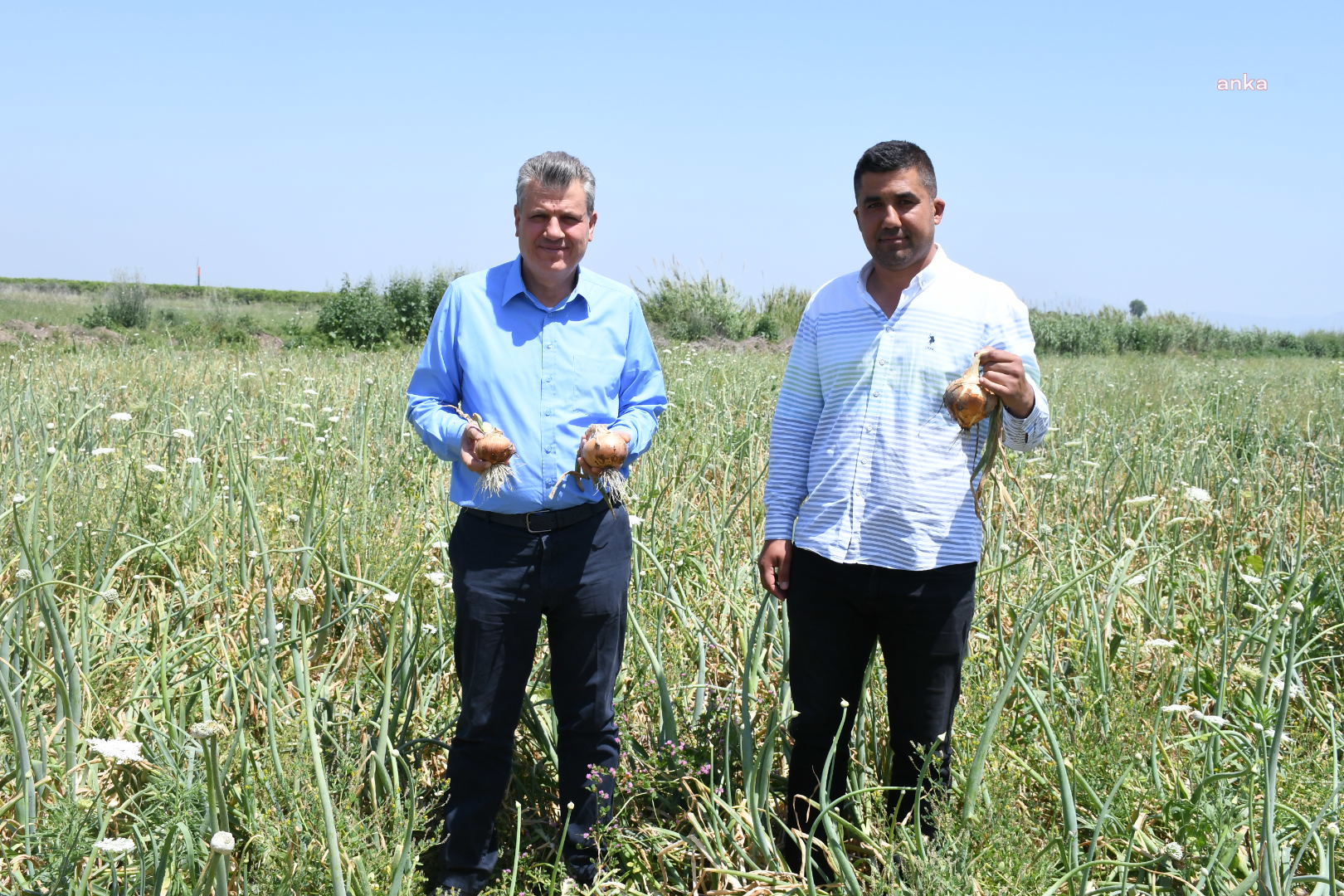 CHP'Lİ BARUT SOĞAN ÜRETİCİLERİNİN SORUNLARINI DİNLEDİ: SOĞAN TARLADA KALDI