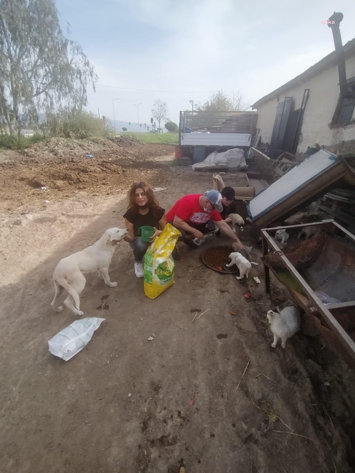 ÇİĞLİ'DE SOKAK HAYVANLARI, TAM KAPANMADA DA BELEDİYEYE EMANET