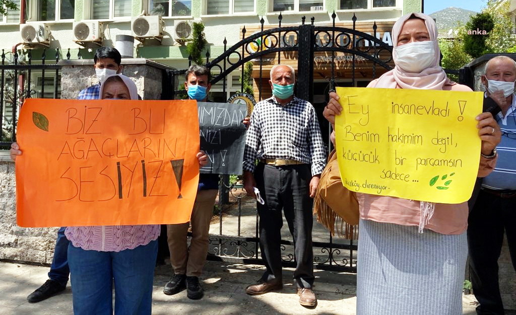 MİLAS KÖYLÜLERİ ORMANLARINI KORUMAK İÇİN HUKUK MÜCADELESİ BAŞLATTI