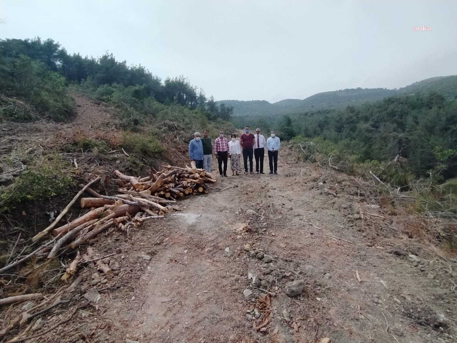 "MERSİN’İN OKSİJEN DEPOSUNDA AĞAÇ KATLİAMI"