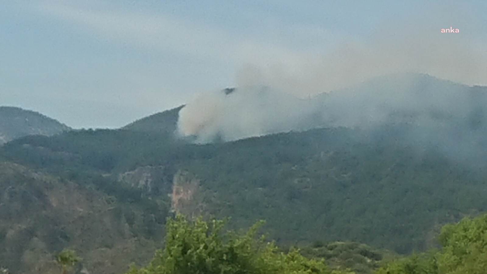 MUĞLA'NIN ORTACA İLÇESİNDEKİ ORMAN YANGINI SÖNDÜRÜLDÜ