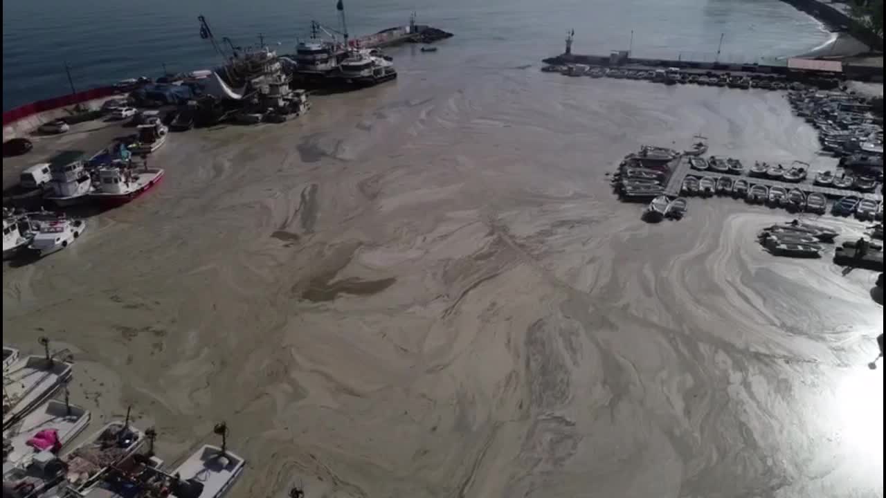 MARMARA DENİZİNİ "DENİZ SALYASI" VURDU, BALIKÇILAR DESTEK BEKLİYOR