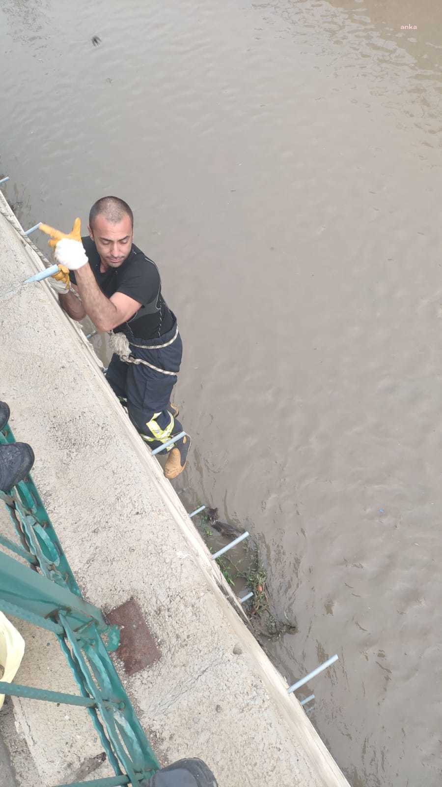 MERSİN'DE İTFAİYEDEN KEDİ KURTARMA OPERASYONU