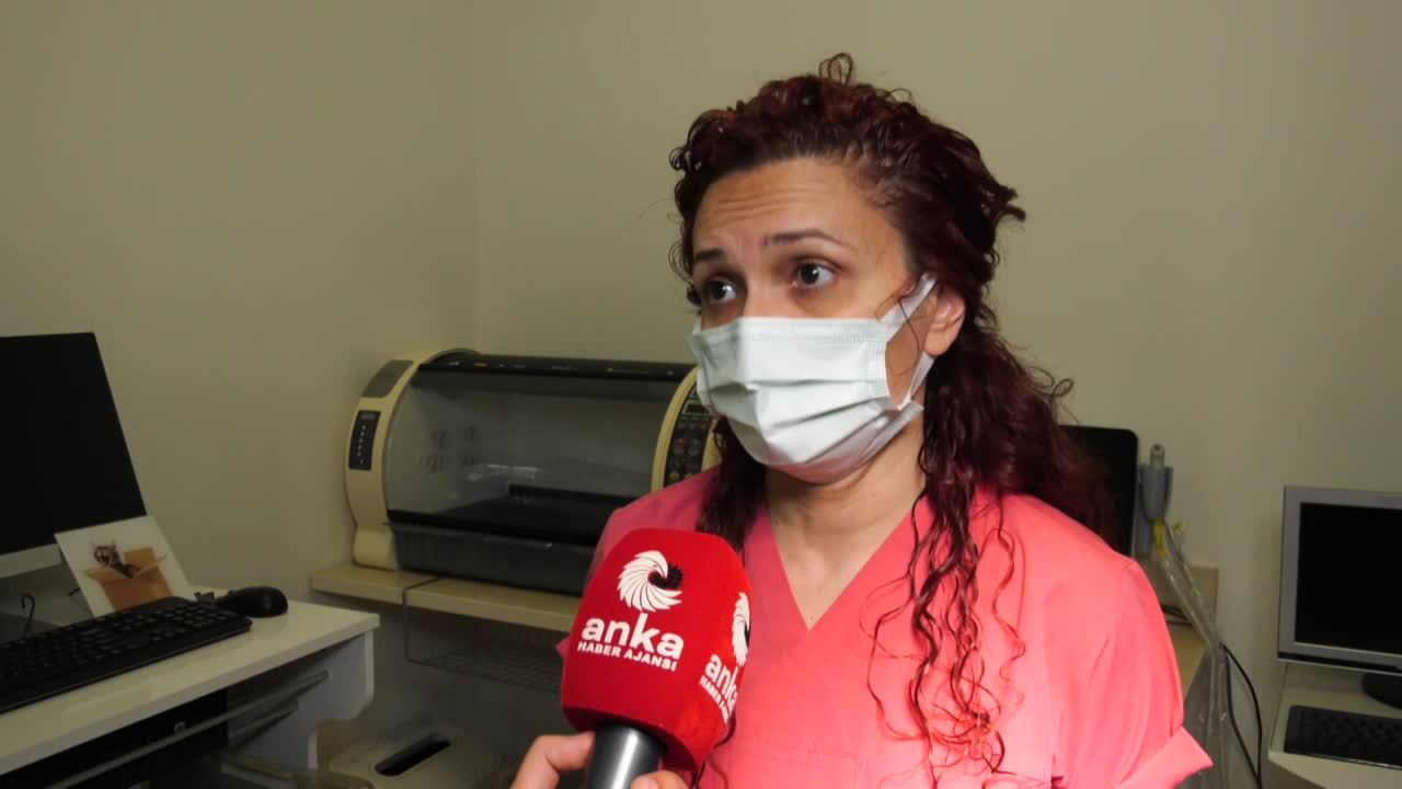 SERBEST VETERİNERLER DE AŞIDA ÖNCELİK İSTİYOR: "RİSK ALTINDAYIZ"
