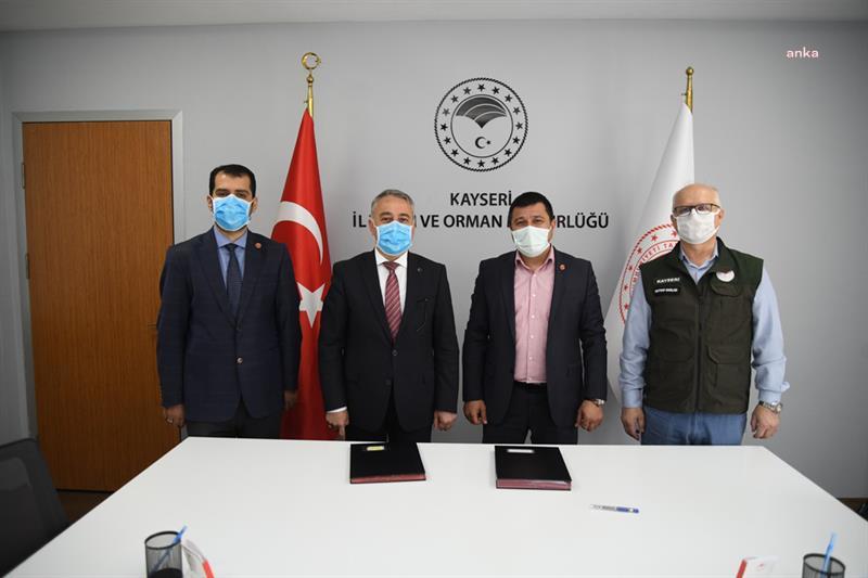 KAYSERİ’DE KEDİ, KÖPEK VE GELİNCİKLERE PASAPORT DÜZENLENECEK