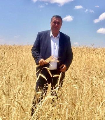 CHP'Lİ GÜRER: “BUĞDAYDA TEHLİKE ÇANLARI ÇALIYOR”
