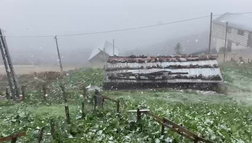 KORONAVİRÜS NEDENİYLE 232 KİŞİ DAHA HAYATINI KAYBETTİ
