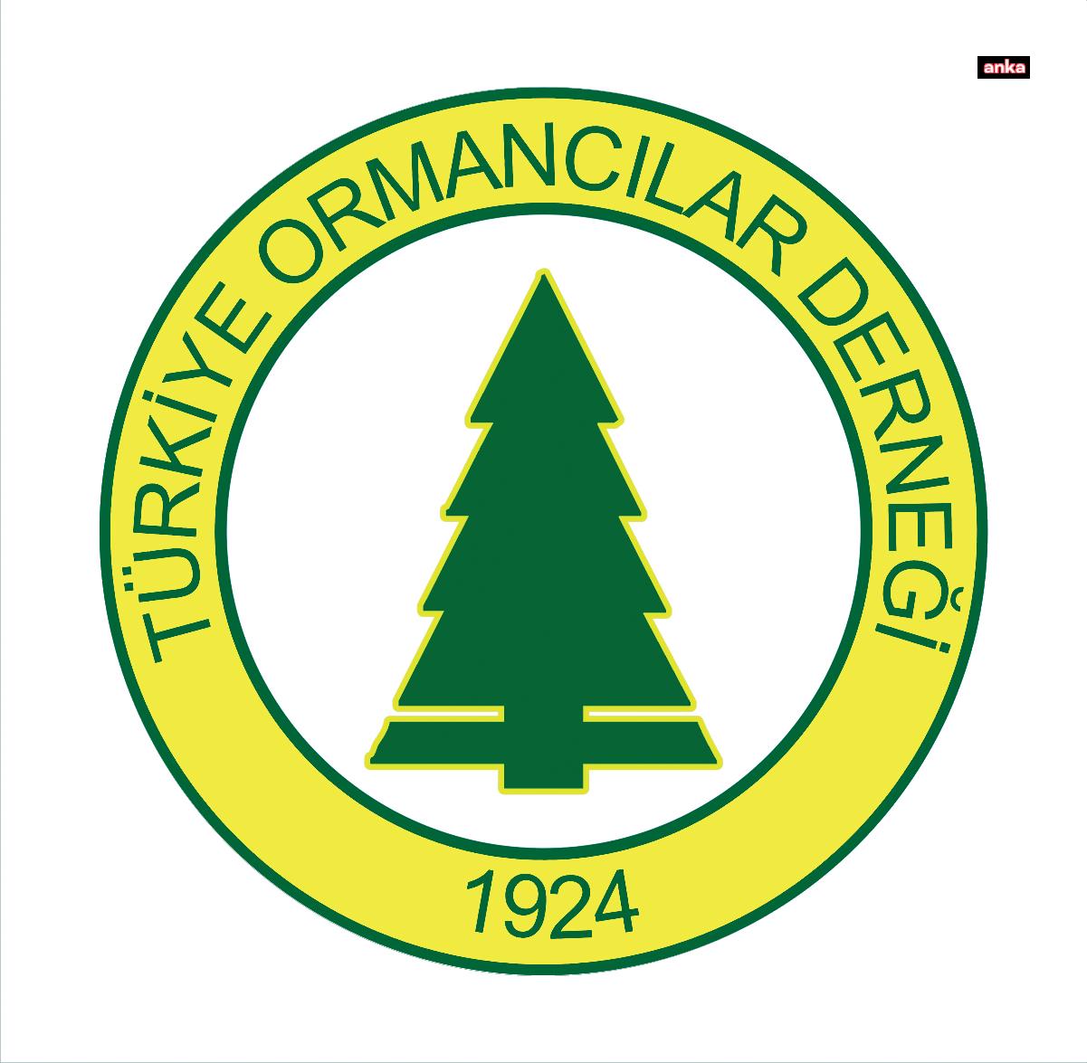 TÜRKİYE ORMANCILAR DERNEĞİ: İKİZDERE’DEKİ DOĞA DÜŞMANI BU PROJE İPTAL EDİLMELİDİR