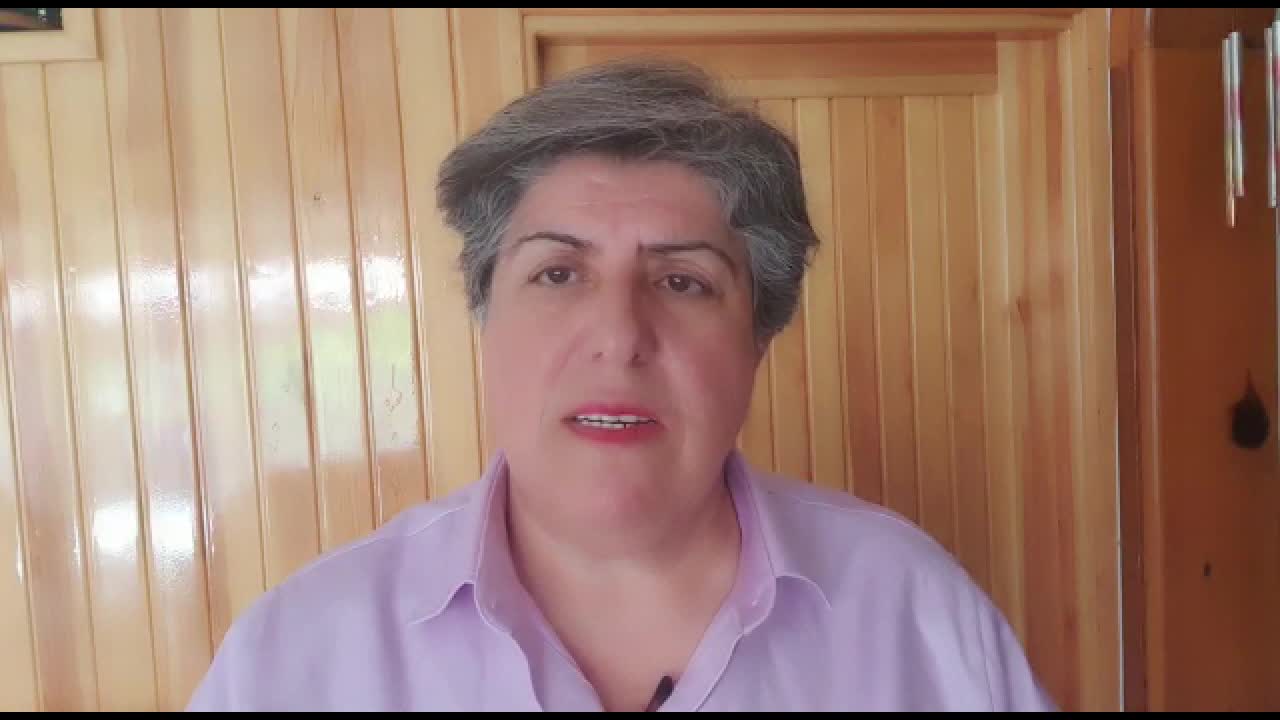 TÜRKİYE KADIN DERNEKLERİ FEDERASYONU BAŞKANI GÜLLÜ: "TAM KAPANMADA ŞİDDET GÖREN KADIN ANNESİNİN EVİNE GİTMEK İSTESE İZİN BELGESİNDE KADINA ŞİDDET KRİTERİ YOK"