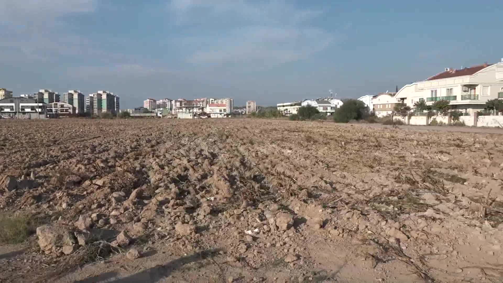 BOŞ ALANLARI EKİP BİÇMEYE BAŞLADILAR: MURATPAŞA BELEDİYESİ ÖNCÜ OLDU