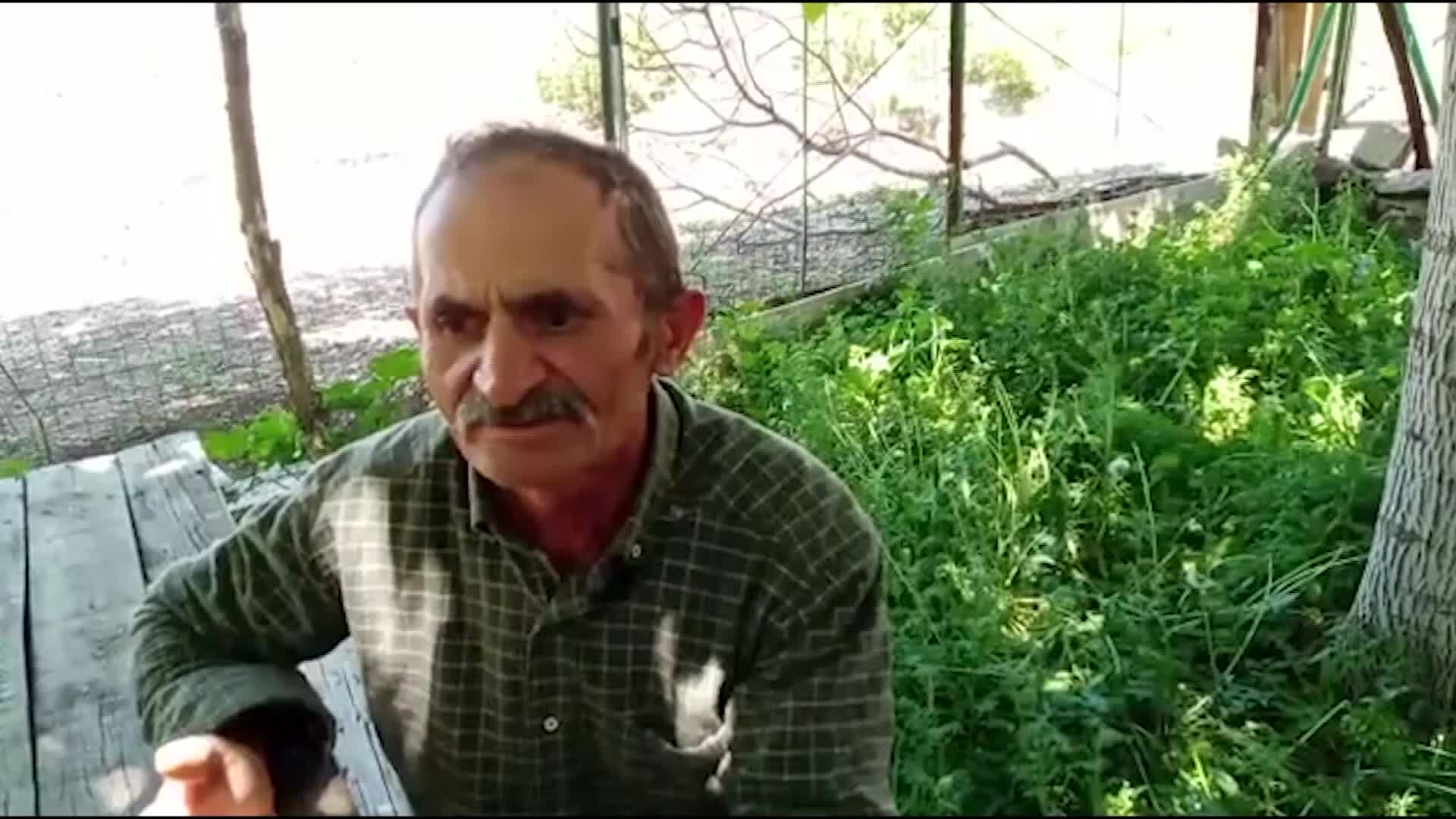 ARTVİN ARDANUÇ’TA KIRIM KONGO KANAMALI ATEŞİ VAKALARI ARTIYOR