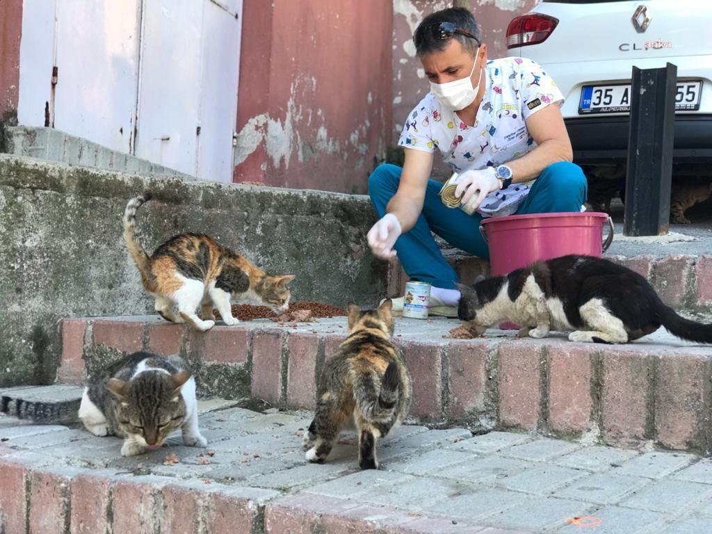KONAK BELEDİYESİ TAM KAPANMADA SOKAK HAYVANLARINI UNUTMADI