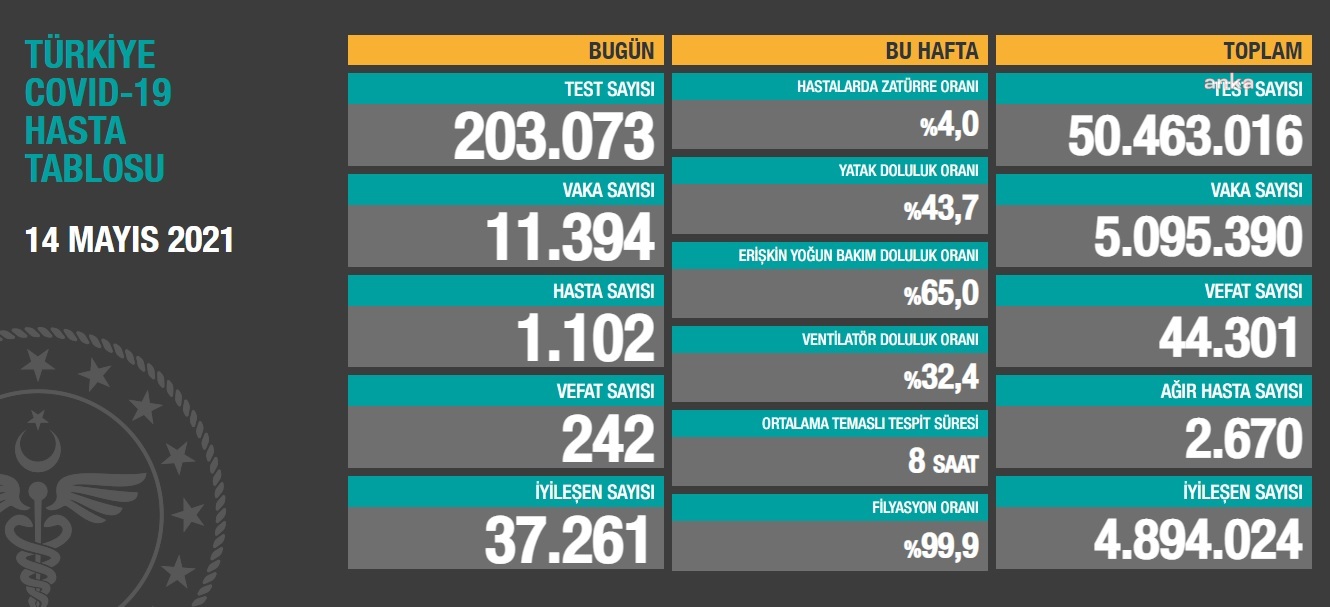 KORONAVİRÜSE 242 CAN DAHA