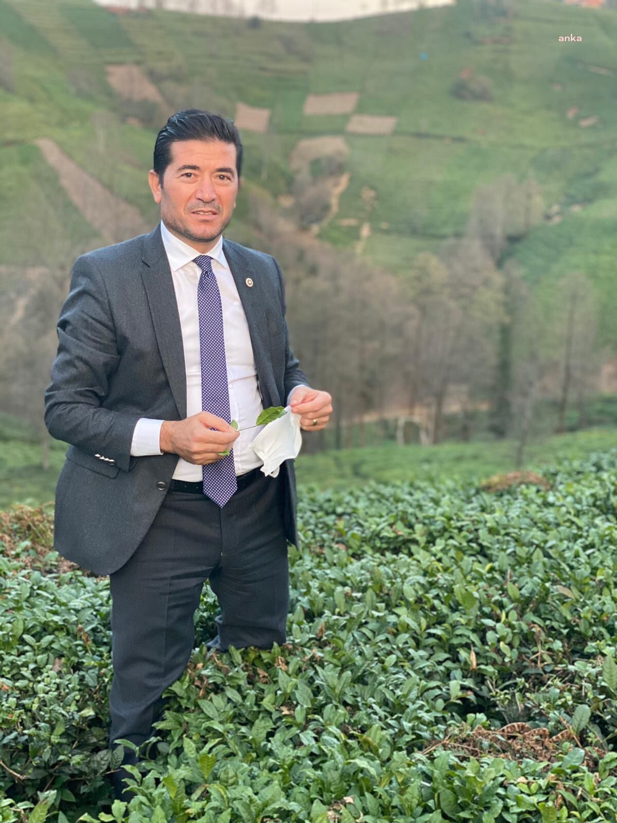 CHP’Lİ KAYA: “YAŞ ÇAY TABAN FİYATINI AÇIKLAMAK İÇİN NEYİ BEKLİYORSUNUZ?”