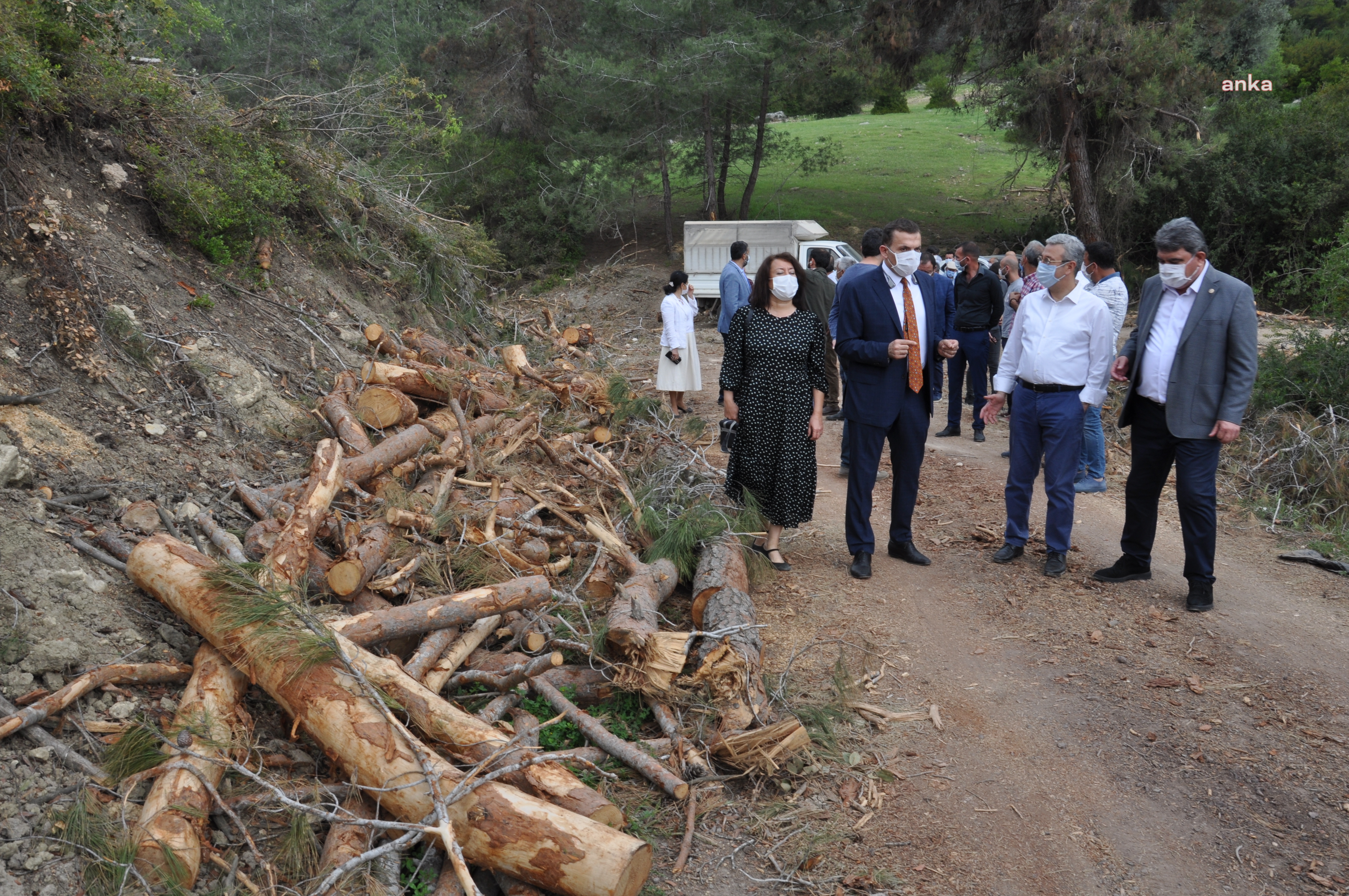 MERSİN’DE ‘ORMAN KATLİAMI’ YARGIYA TAŞINACAK
