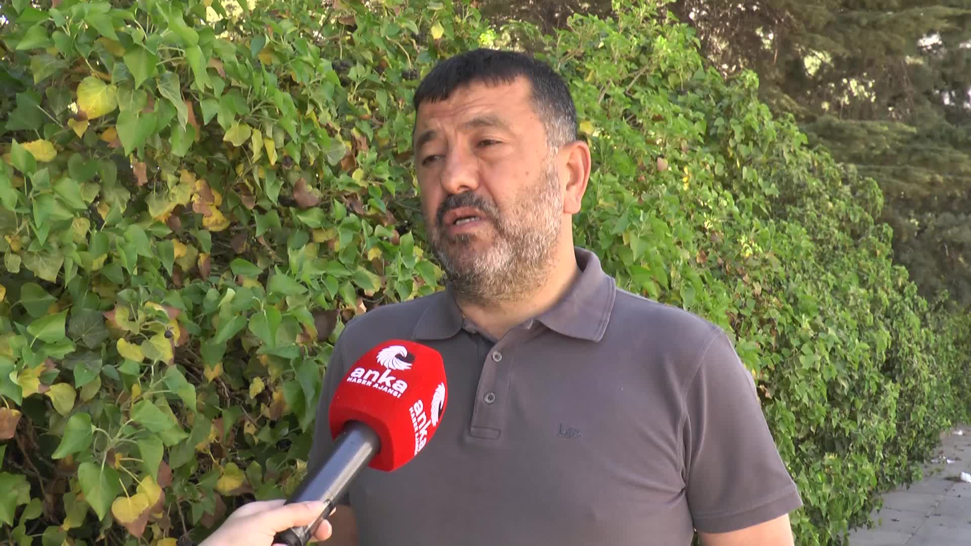 CHP'Lİ AĞBABA BAKAN SOYLU'YA SESLENDİ:  "SENDE ONUR VARSA, O KOLTUKTA BİR DAKİKA DAHA OTURMAZSIN"