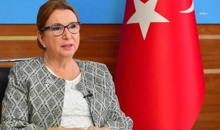 CHP, RUHSAR PEKCAN HAKKINDA MECLİS SORUŞTURMA ÖNERGESİ HAZIRLADI