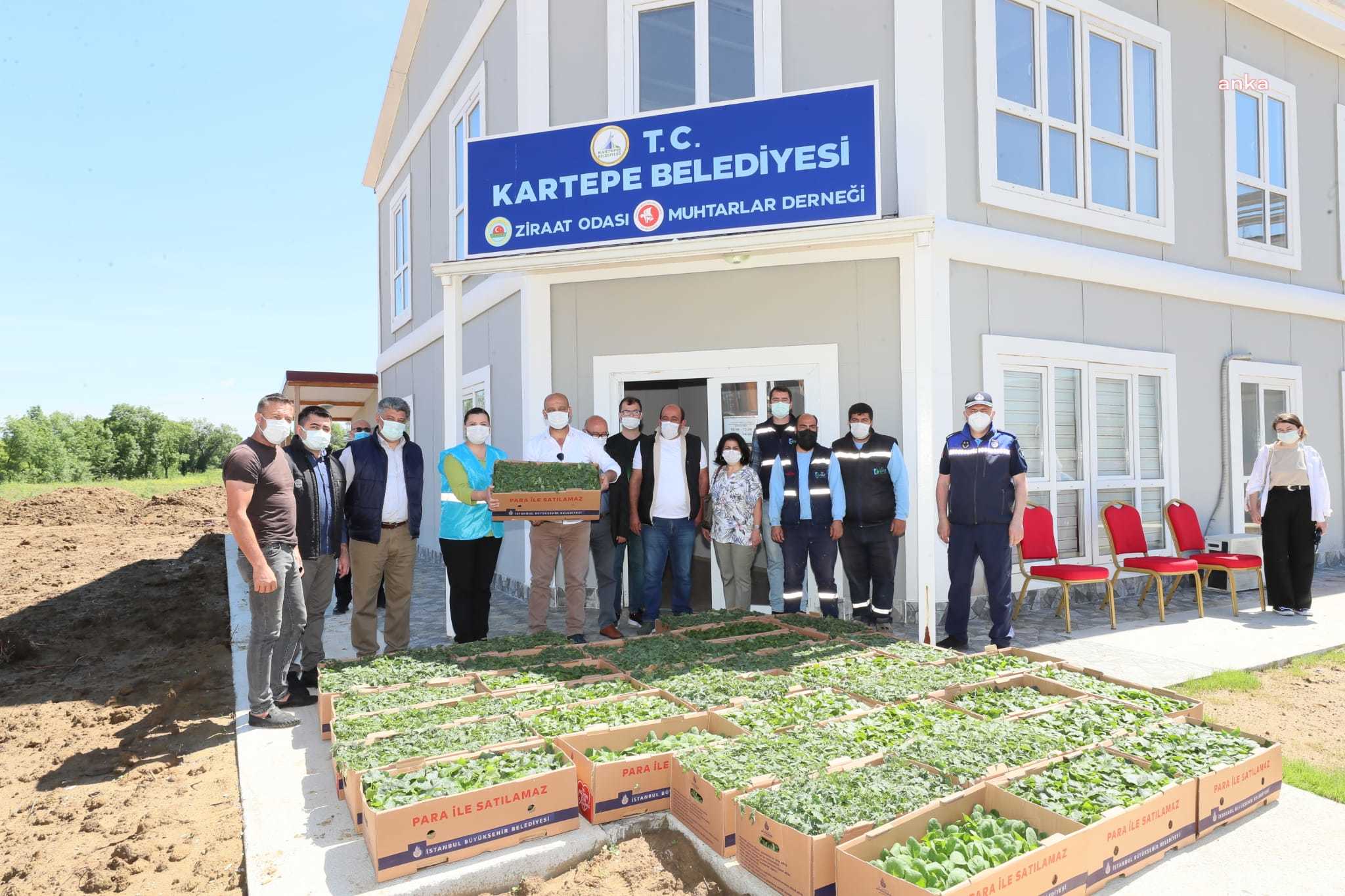 İZMİT BELEDİYESİ'NDEN KOCAELİLİ ÇİFTÇİLERE FİDE DESTEĞİ
