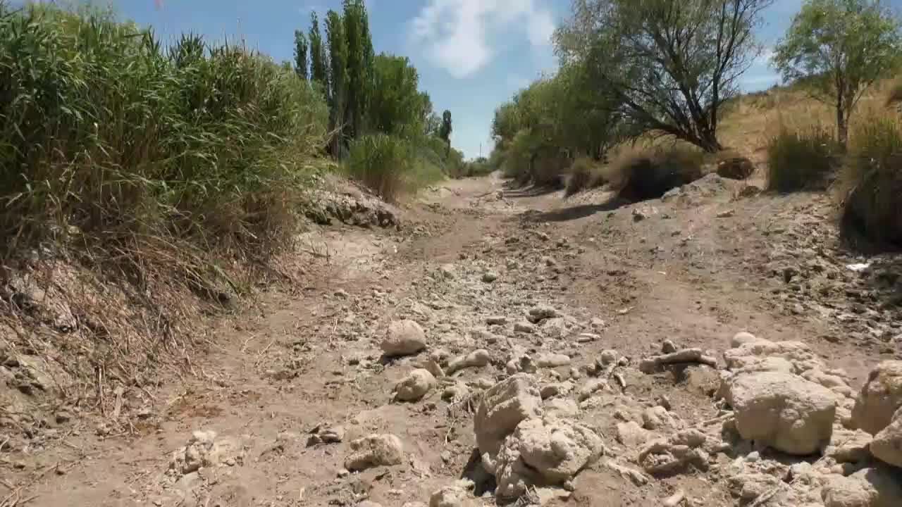 TÜRKİYE'NİN 3. EN UZUN NEHRİ OLAN SAKARYANIN KOLLARI  KURUYOR